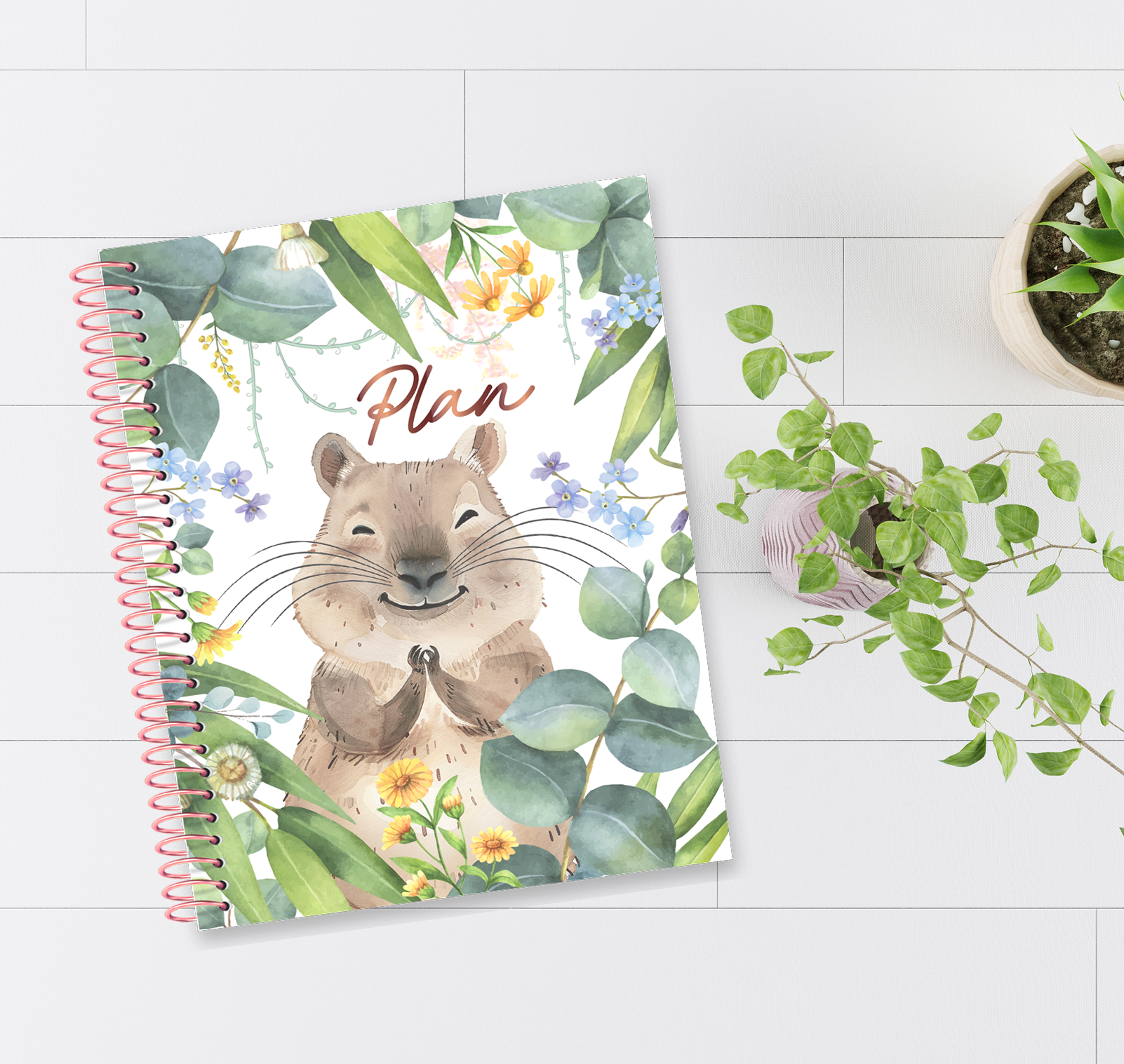 2026 Teacher Planner - Curious Quokka   PRE-ORDER: Ships Nov